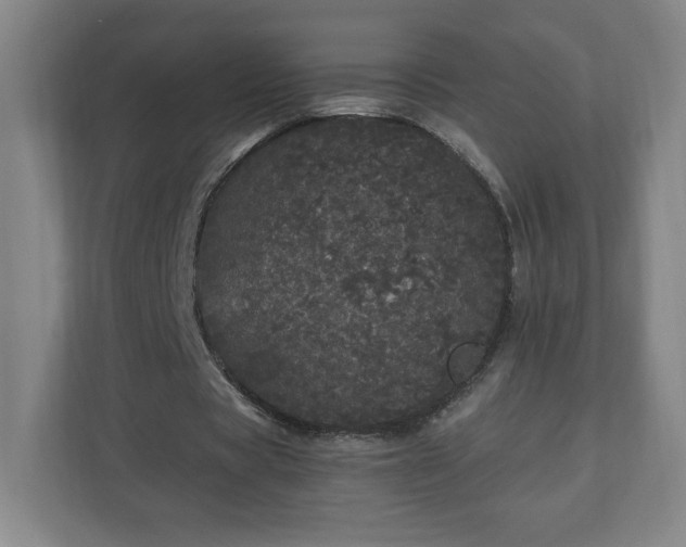 X0000110870529200906251230