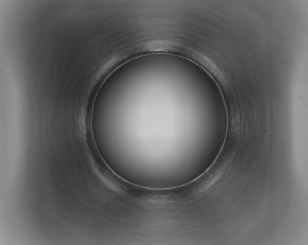 X0000110870530200906251230