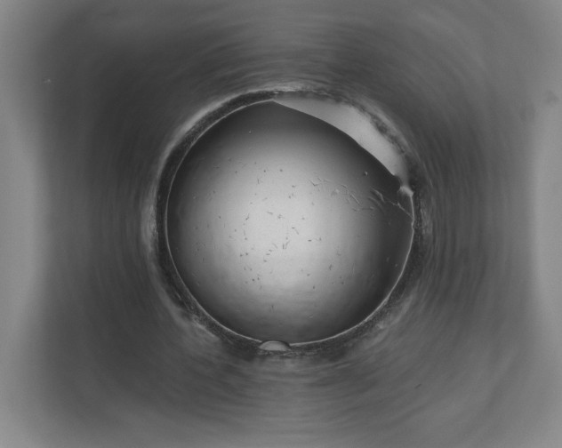 X0000110870532200906251230