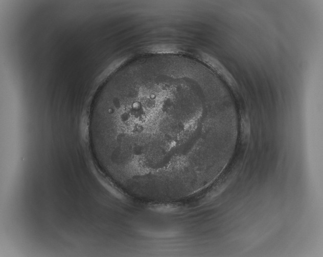 X0000110870533200906251230