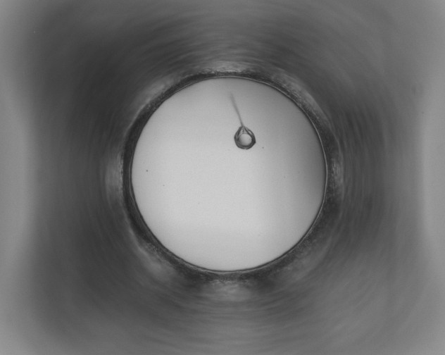 X0000110870534200906251230