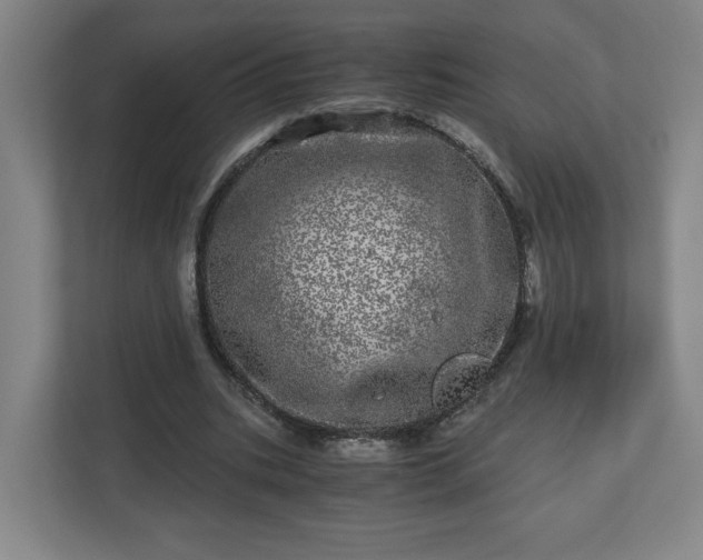 X0000110870535200906251230