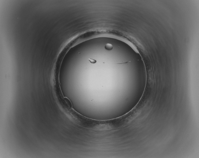 X0000110870536200906251230