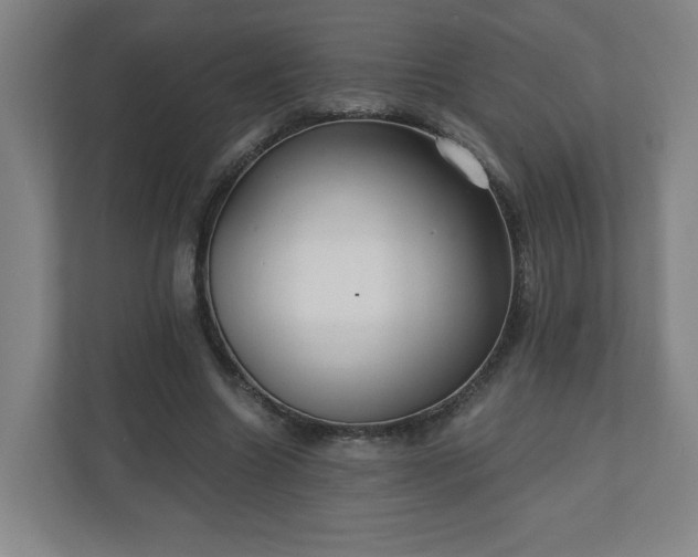 X0000110870538200906251230