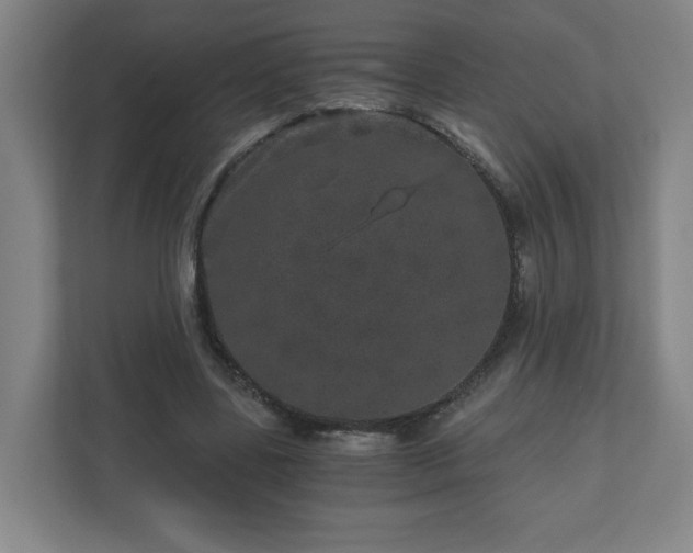 X0000110870539200906251230