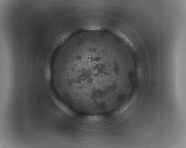 X0000110870541200906251231