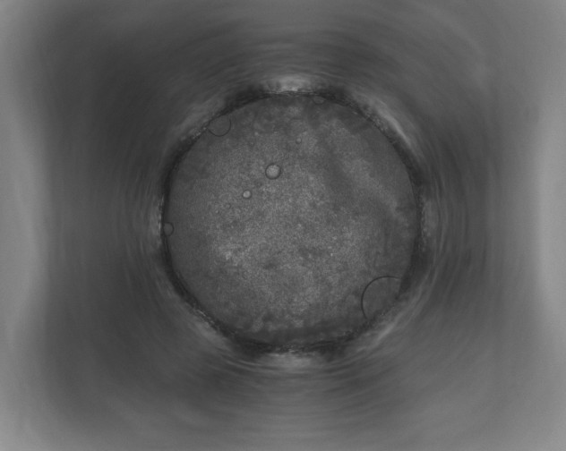 X0000110870545200906251231