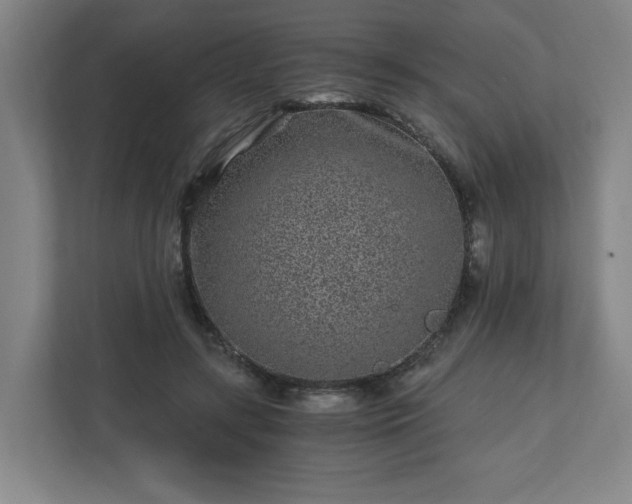 X0000110870547200906251231