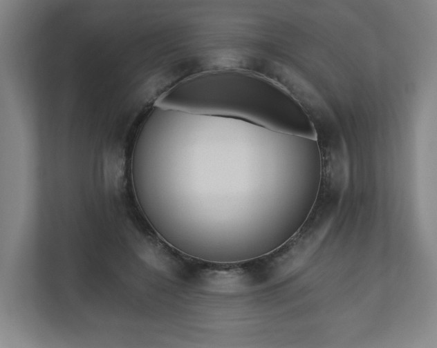 X0000110870548200906251231