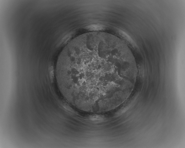 X0000110870549200906251231