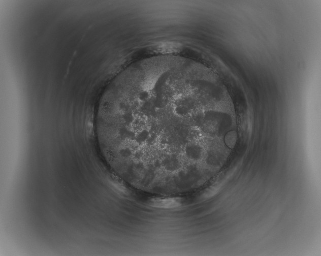 X0000110870553200906251231