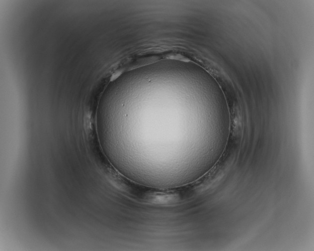 X0000110870555200906251231