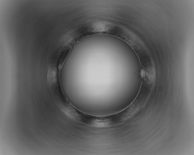 X0000110870556200906251231