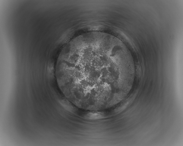 X0000110870557200906251231