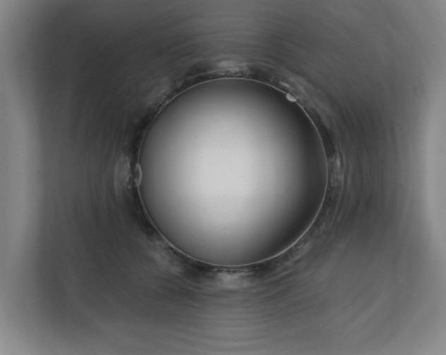 X0000110870560200906251231