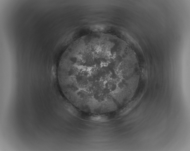 X0000110870561200906251231