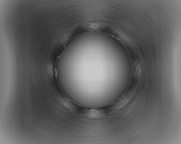 X0000110870562200906251231