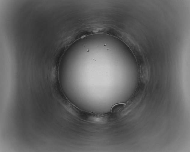 X0000110870563200906251231