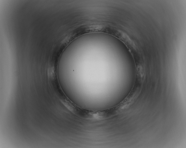 X0000110870564200906251231