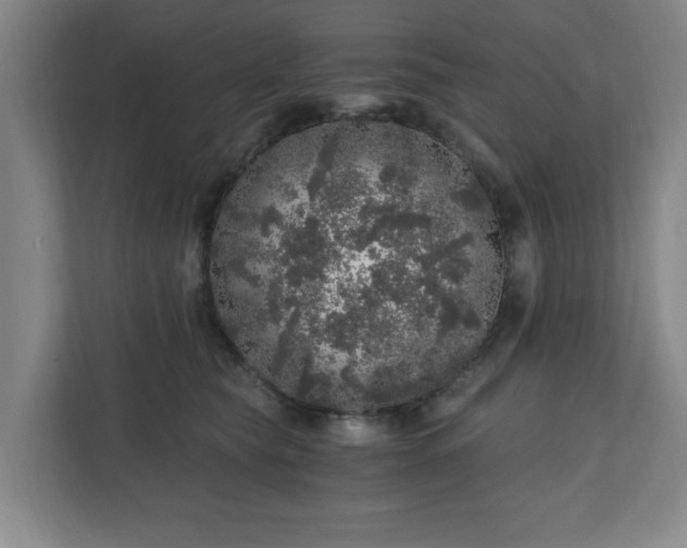 X0000110870565200906251231