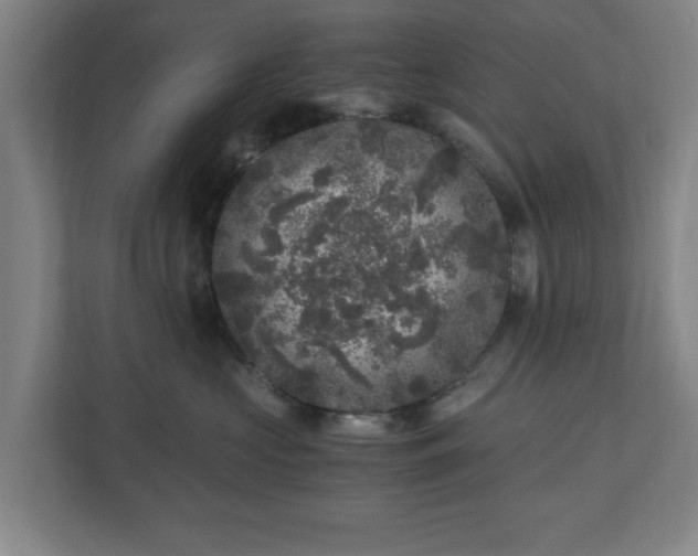 X0000110870573200906251231