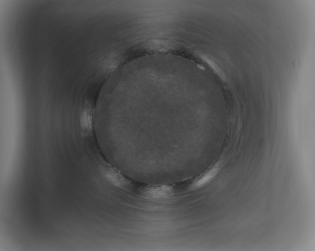 X0000110870576200906251231