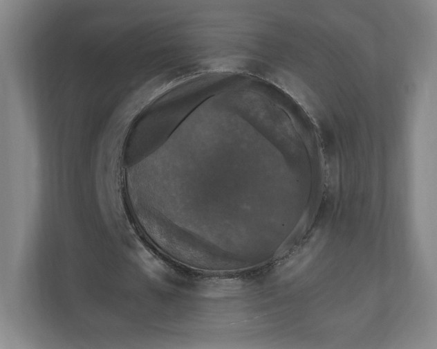 X0000110870577200906251230