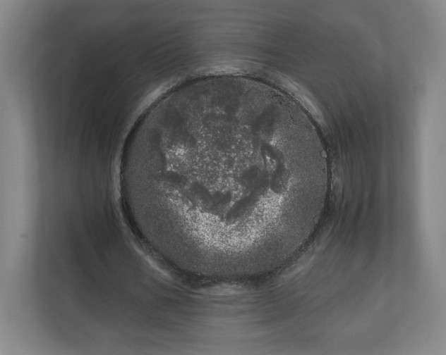 X0000110870578200906251230