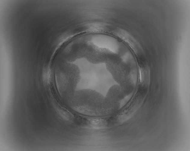 X0000110870579200906251230