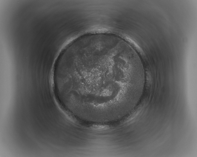 X0000110870582200906251230