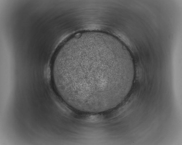 X0000110870584200906251230