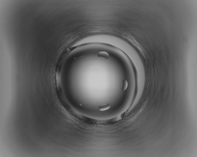 X0000110870585200906251230