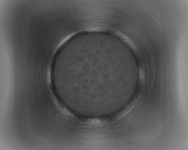 X0000110870588200906251230