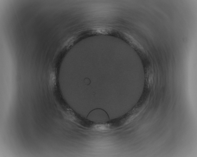 X0000110870595200906251230