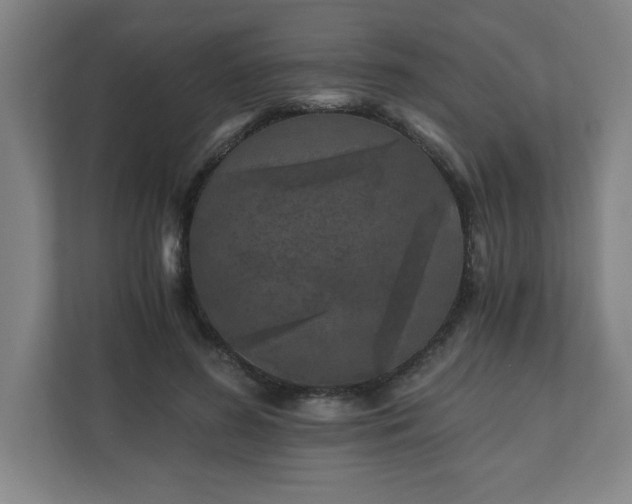 X0000110870596200906251230