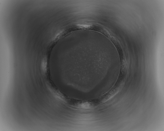 X0000110870600200906251230