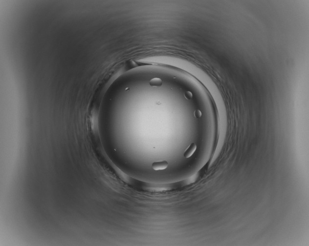 X0000110870601200906251230