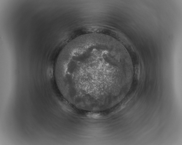 X0000110870602200906251230