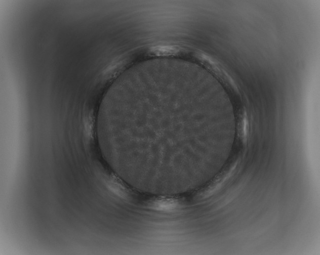 X0000110870604200906251230