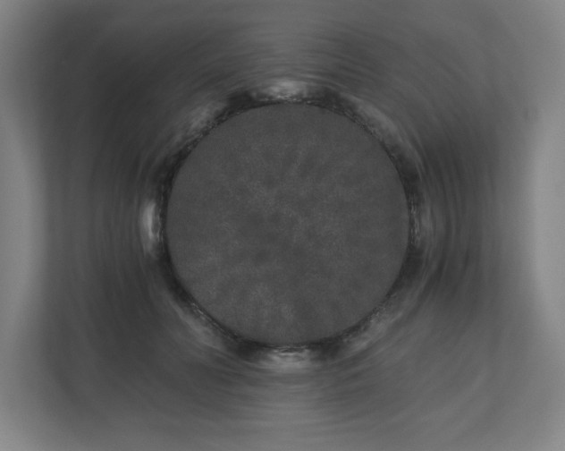 X0000110870606200906251230