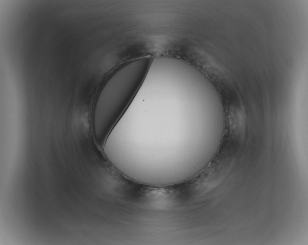 X0000110870611200906251230