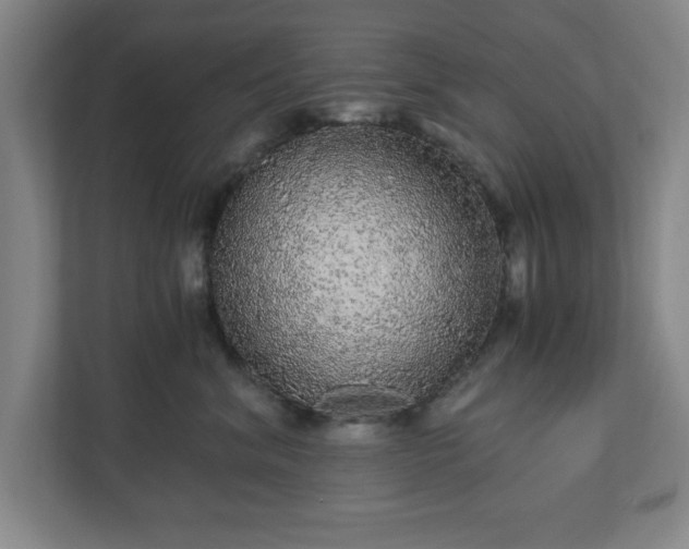 X0000110870620200906251230