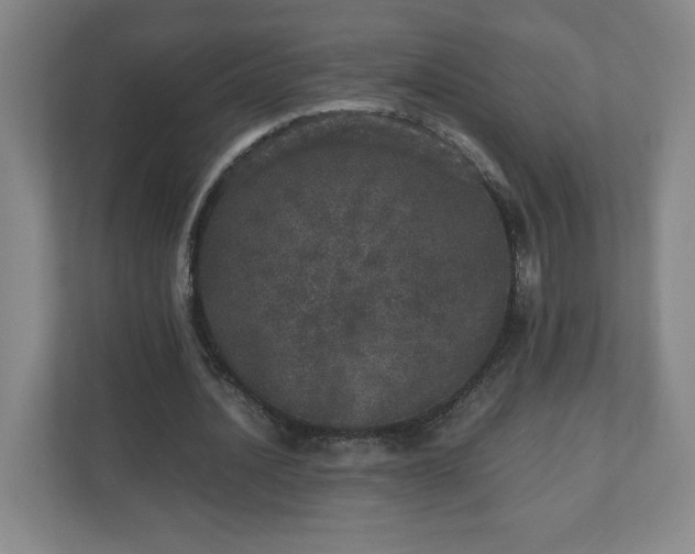 X0000110870628200906251229