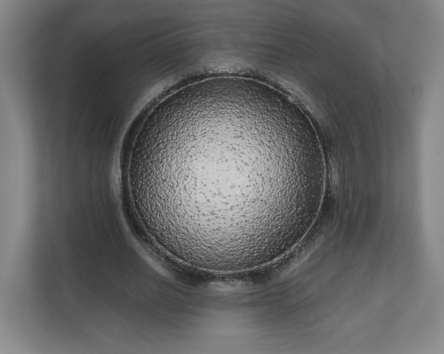 X0000110870630200906251229