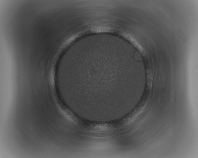 X0000110870631200906251229