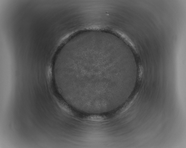 X0000110870636200906251229