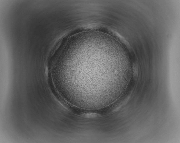 X0000110870637200906251229