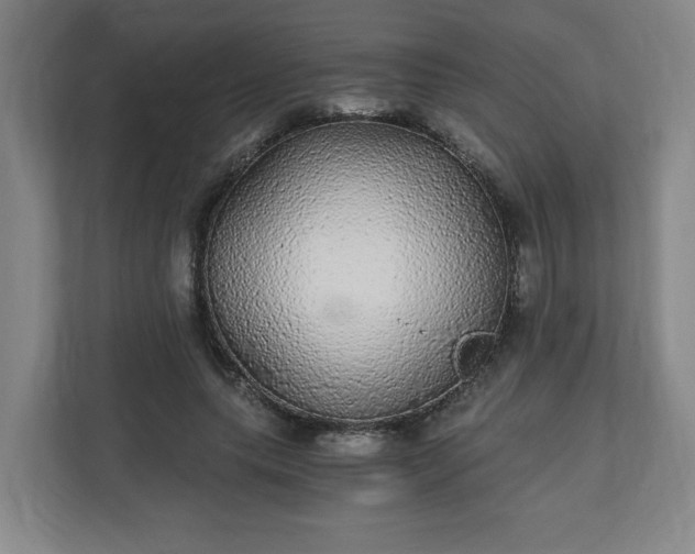 X0000110870639200906251229