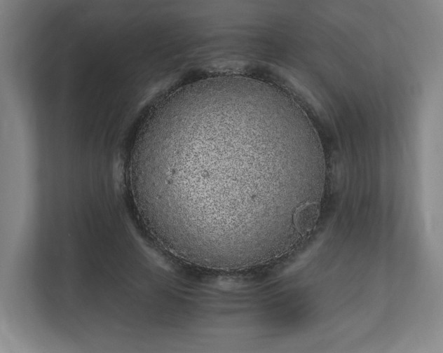 X0000110870641200906251229