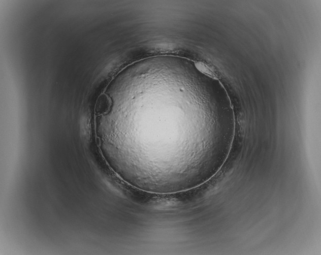 X0000110870642200906251229